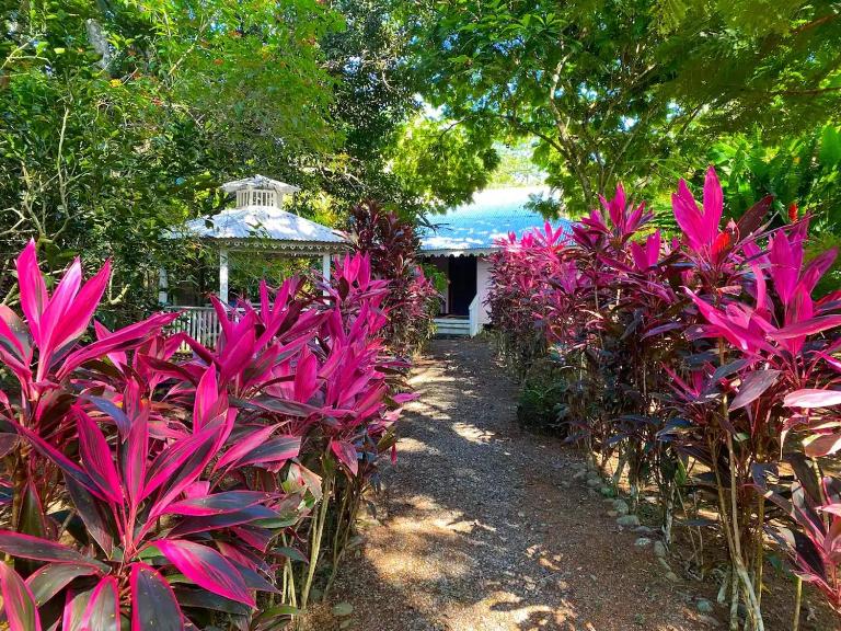 Calypso Cabaña - B&B Cahuita