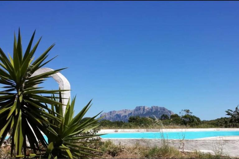 Nautilus, In front of Tavolara Island - Chambres d'hôtes Porto Istana