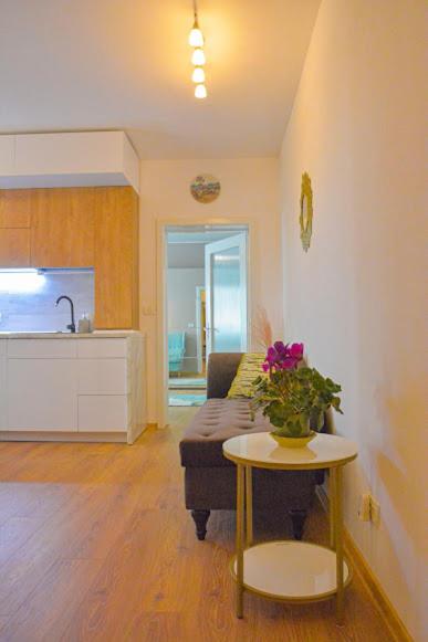 Apartament Miloia-Timisoara - B&B Timişoara