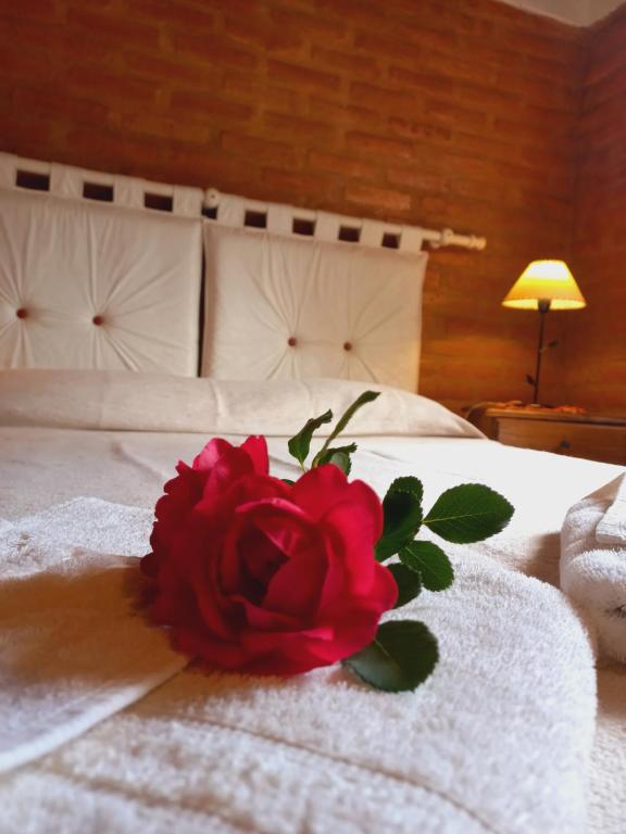 Casa El Tabaquillo - B&B Nono