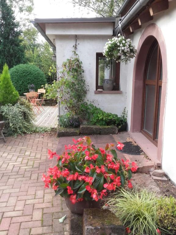 gîte au jardin romantique pour 2 personnes - Ferienwohnung Langensoultzbach