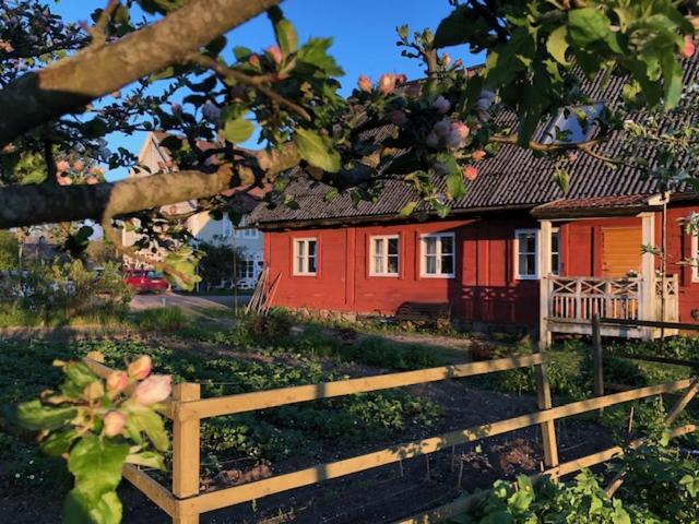 Ängaröds Gård - B&B Ljungbyhed