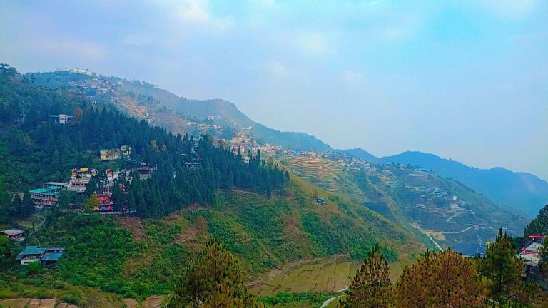 The Pine Of Golden Home Stay - B&B Mussoorie
