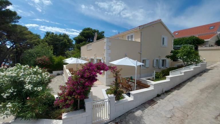 Stellaris Apartmani - Bed and Breakfast Maslinica