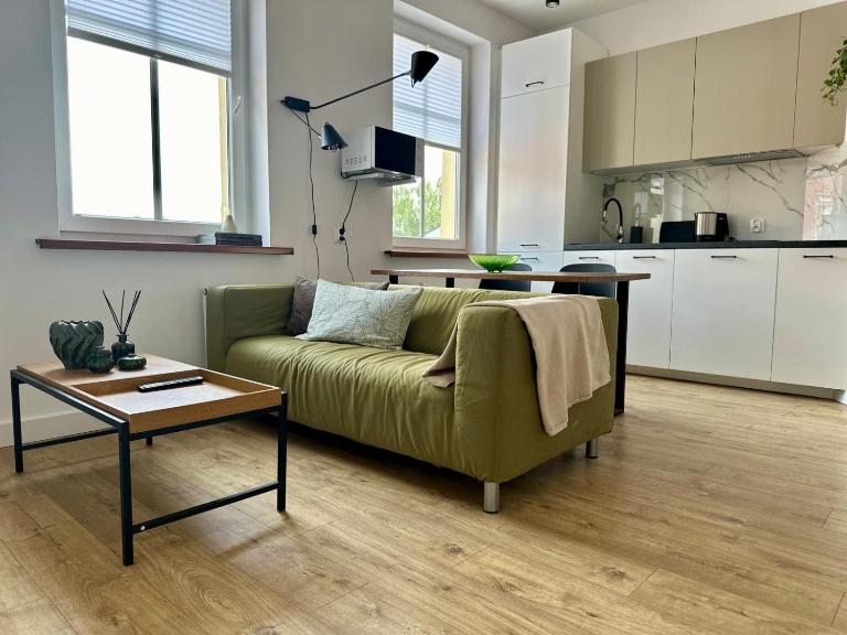 Trinity Suite Old Town & Free Private Parking - B&B Bydgoszcz