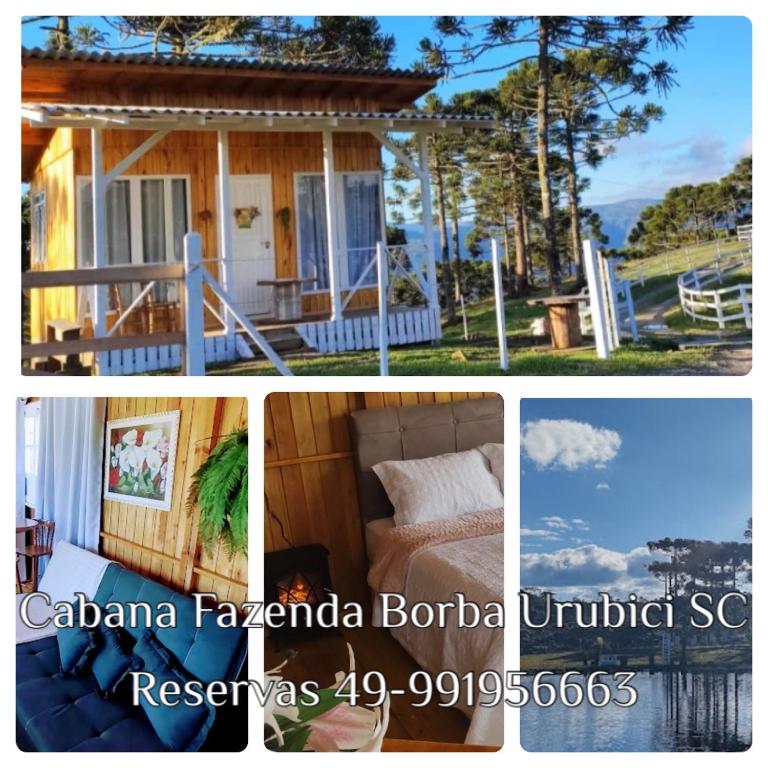 Cabana Fazenda Borba - B&B Urubici
