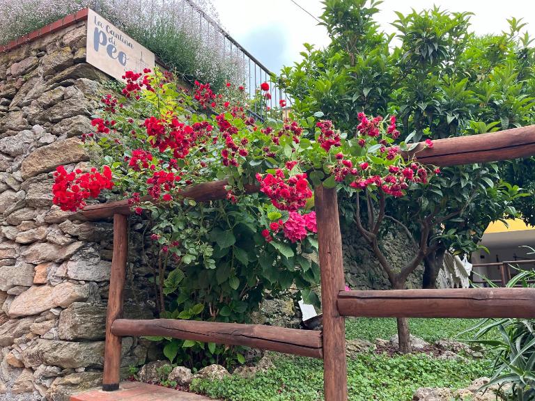 La cantina di Peo - Chambres d'hôtes Finale Ligure