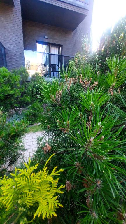 Sea La Vie apartamentai - Ferienwohnung Palanga