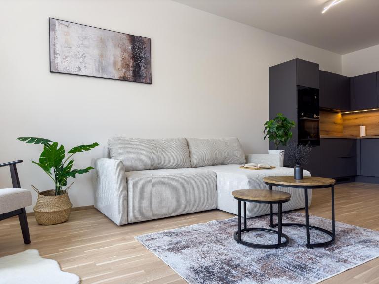 Central Riverside Apartment - Free Parking - B&B Praga