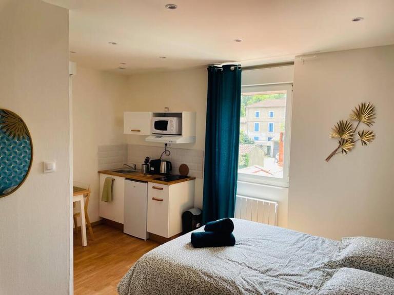 Studio Charles De Gaulle IV - Bed and Breakfast Castres