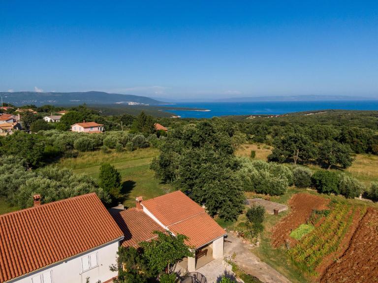 Apartman Viridis - B&B Peruški