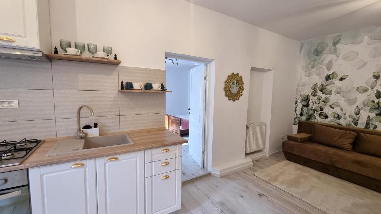 Alecsandri Residence - B&B Bacau