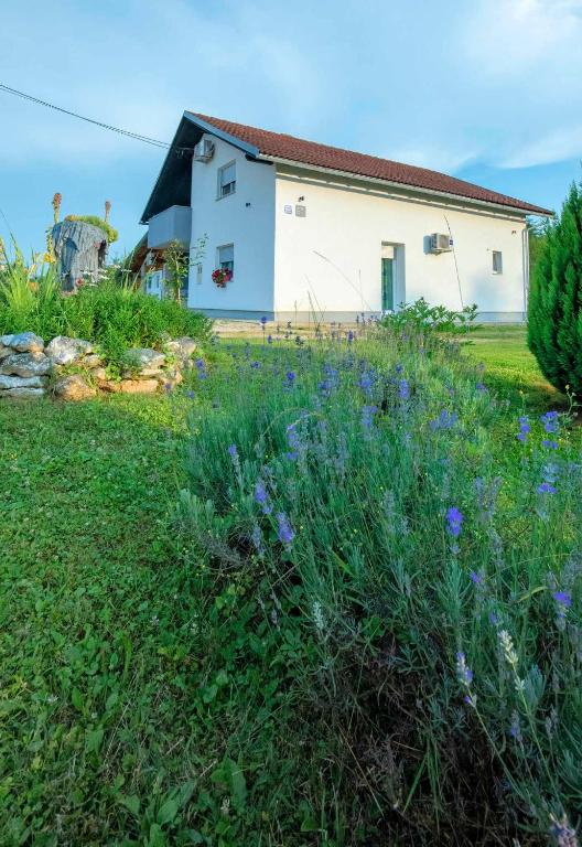 Apartment Nina - Chambres d'hôtes Slunj