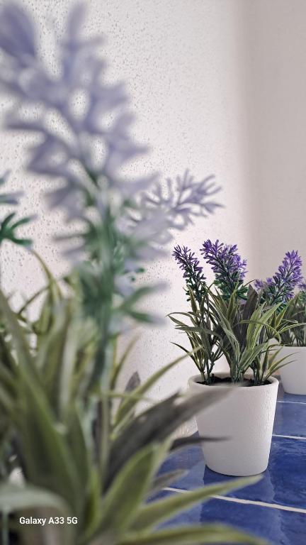 La tappa del vignaiolo Home - Ferienwohnung Mamoiada