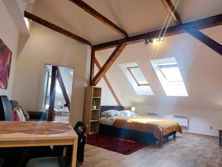 Spacious Historic Attic Loft in City Center 62 m - Ferienwohnung Königgrätz