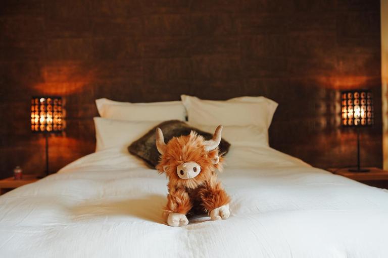 La Chamallow Vachement Douillet - Bed and Breakfast Dinant