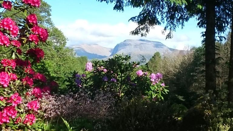 TOM BEAG - Ben Nevis view ROOMS - Bed and Breakfast Fort William