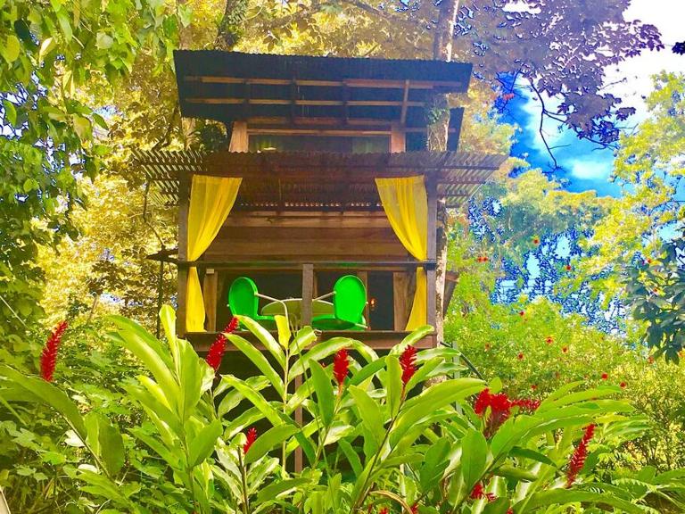 Gecko Treehouse with Jungle View, Plunge Pool & WiFi - Chambres d'hôtes Puerto Viejo de Sarapiqui