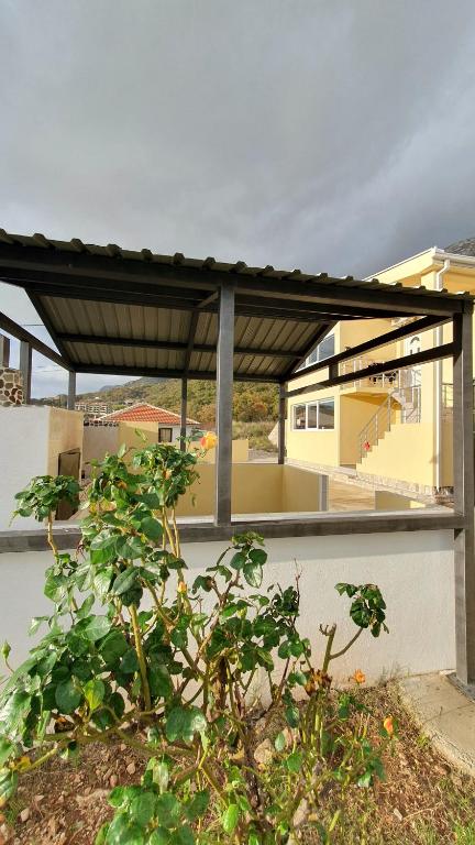 Liona - B&B Sutomore
