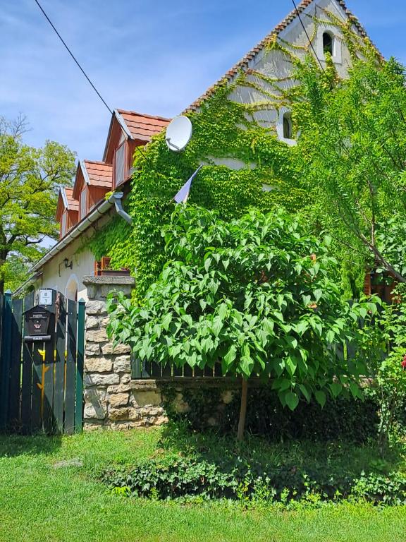 Andante Vendégház - B&B Vászoly