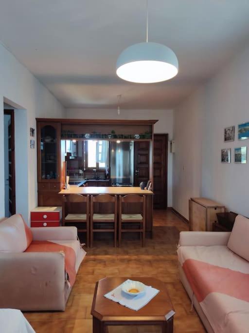 Psakoudia old olive trees appartment 50 m2, 2 bedrooms, sea view - Chambres d'hôtes Psakoúdia