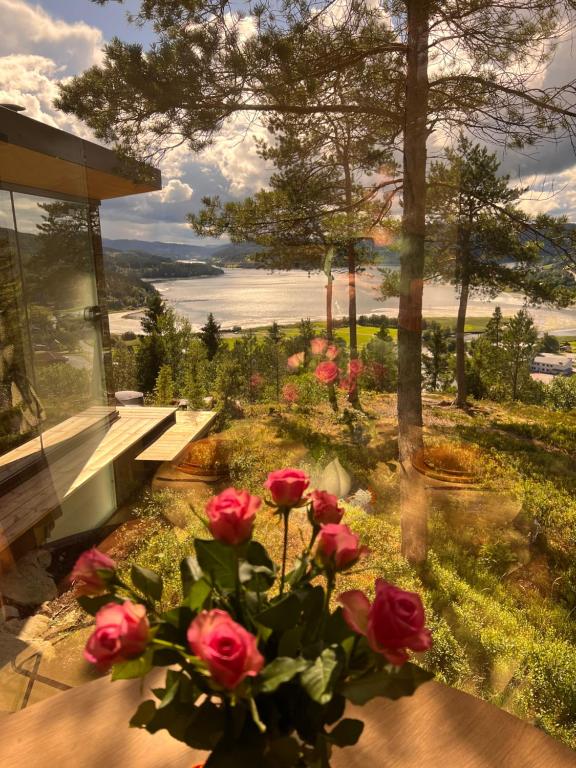 Speilsuite med egen badstue og panorama - B&B Steinkjer