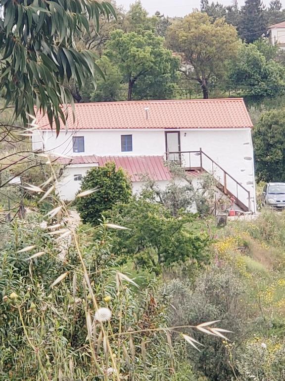 Casa Hortensia - Ferienwohnung Cardigos