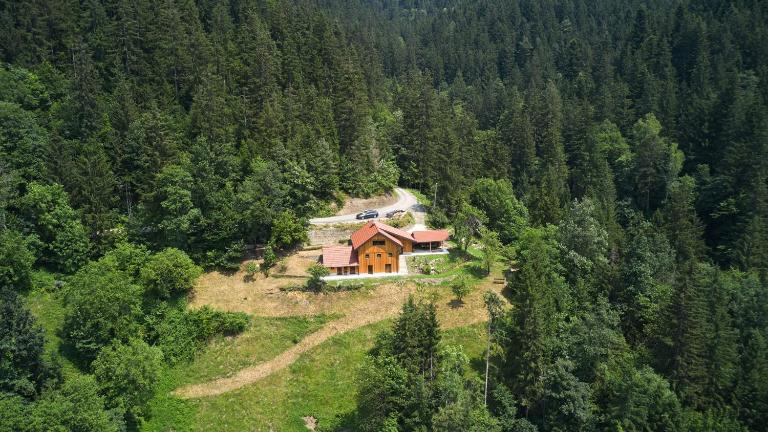 Vista Larix Chalet - B&B Ljubno