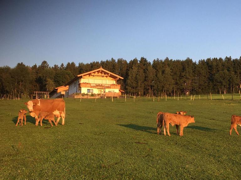 Lexhof - Ferienwohnung Innsbruck