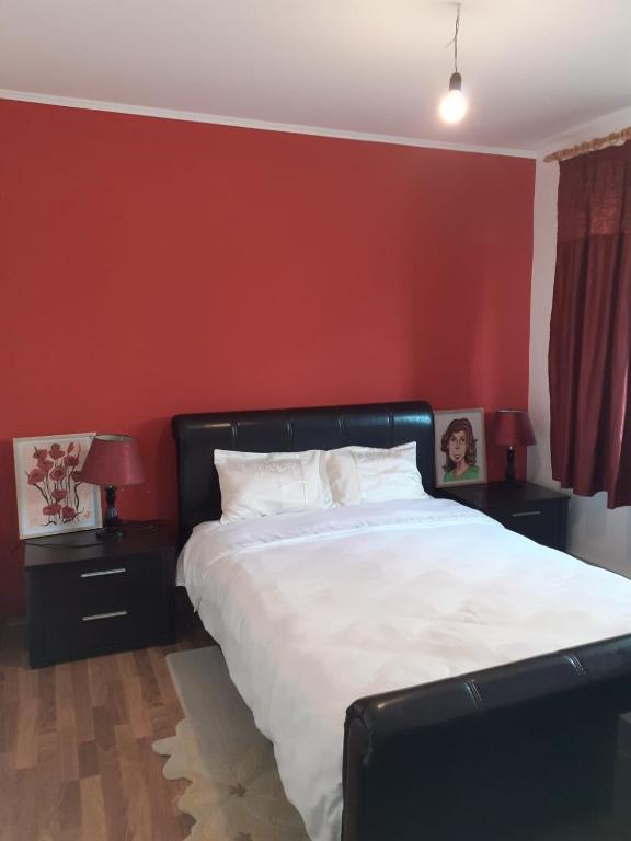 Apartament cu 3 camere la poala Munților Făgăraș - B&B Victoria