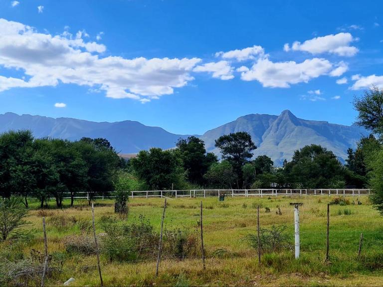 Blue Mountain Farm Lodge, Farm & Dam House - B&B Swellendam