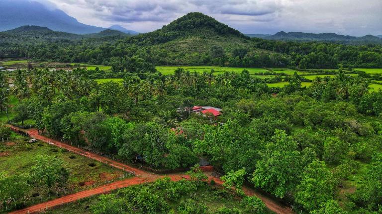 Farmhouse with Pool - Kalavady Farmstay - Bed and Breakfast Byndoor