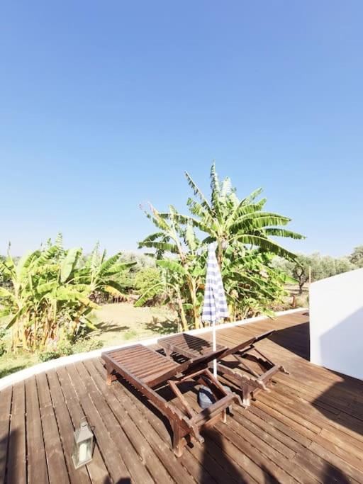 LECÉLESTE - Bed and Breakfast Lithakia