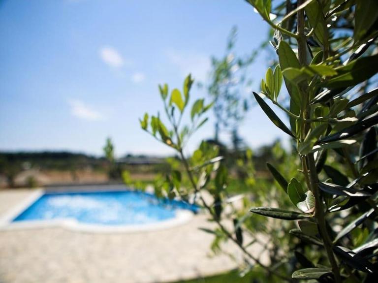 Villa Marčeta Authentic Stay in Istria - B&B Fažana
