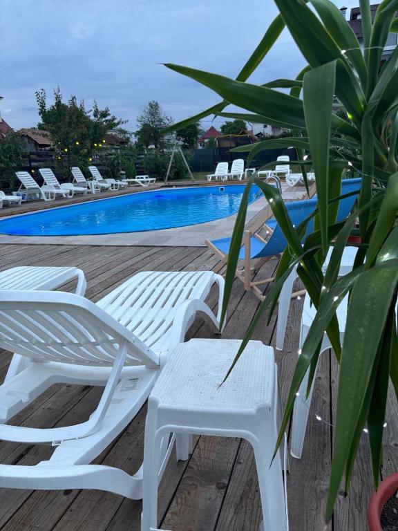 Pensiunea Clasic - B&B Curtea de Argeş