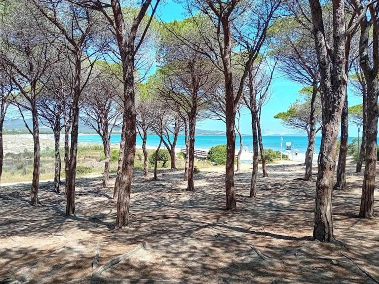 Suite Sardinia -Appartamento indipendente a Tanaunella - B&B Tanaunella