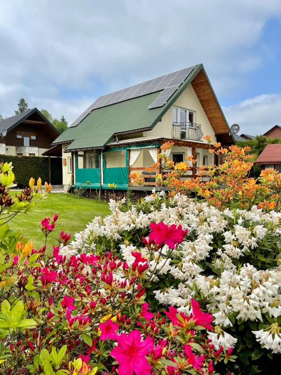 Polańczyk Dom, Apartamenty - Leśny Domek Polańczyk - B&B Polańczyk