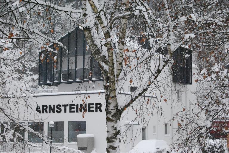 Arnsteiner Apartments - Chambres d'hôtes Zell am See