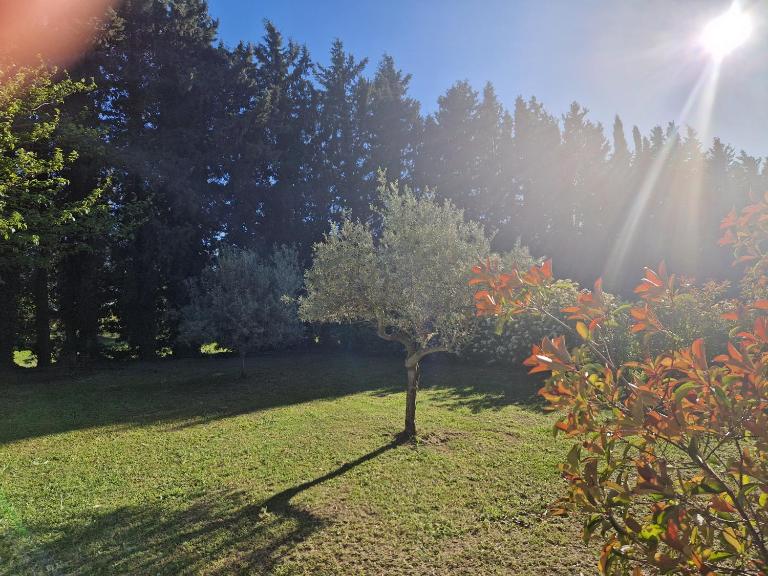 le mazet de LOÏS - Ferienwohnung Carpentras