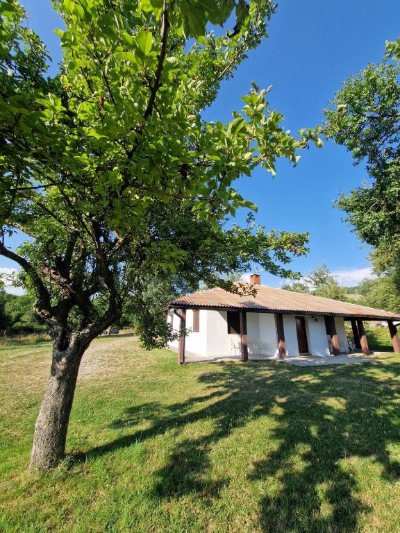 Apartmani & Auto kamp GAJ - Chambres d'hôtes Gacko
