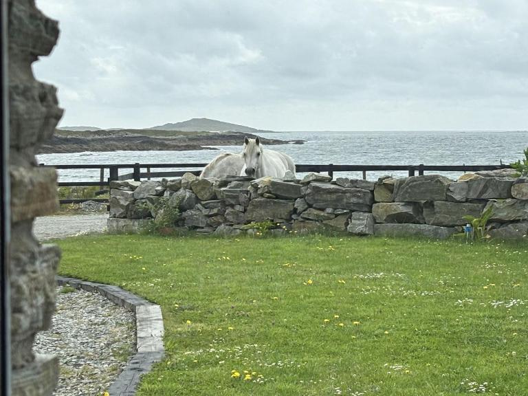 Apartment 471 - Clifden - B&B Clifden