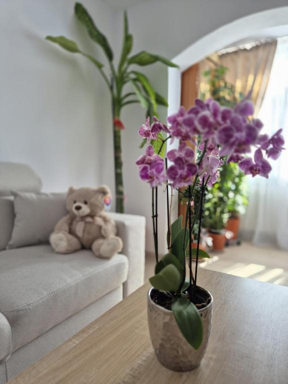 Apartament OPREA - B&B Mangalia