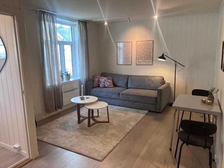Koselig leilighet i Ålesund sentrum - Bed and Breakfast Ålesund