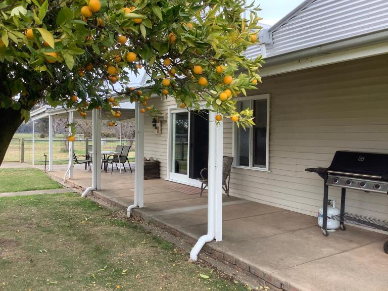 Orange Tree Cottage - B&B King Valley