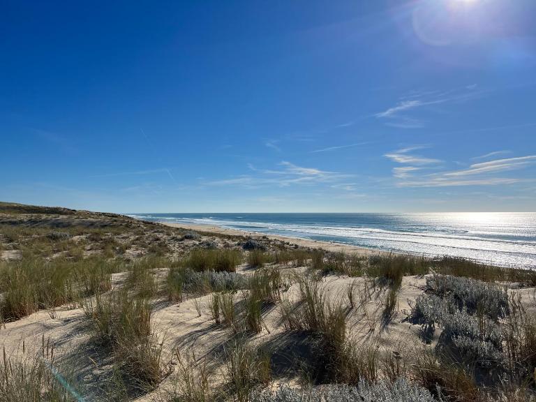 Relax plage et bassin - Ferienwohnung Le Porge