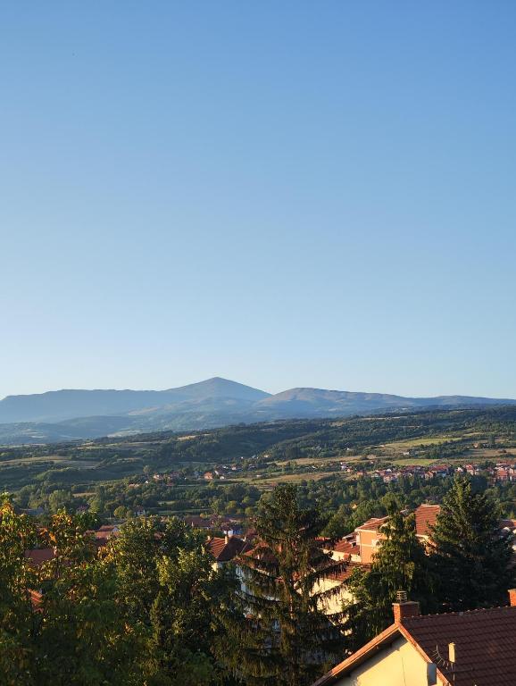 Milijic Lux 2 - B&B Soko Banja
