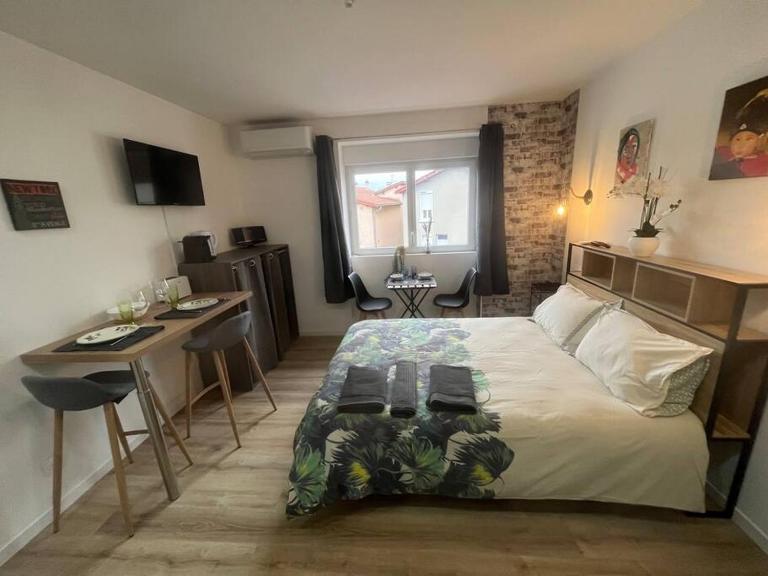 BACH studio BALNEO au calme parking gratuit - B&B Chasse-sur-Rhône