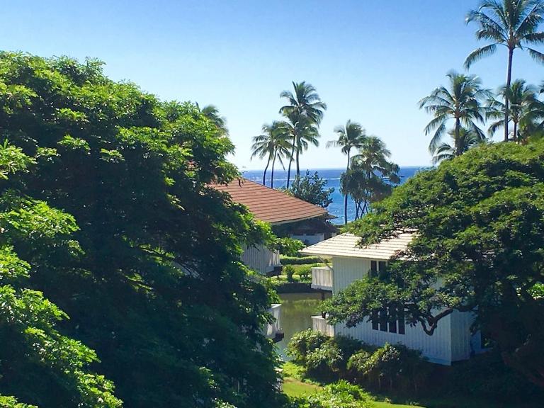 Lovely Remodeled Garden Deluxe Kiahuna Condo Partial Ocean View - B&B Koloa