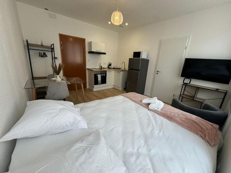 "Champêtre" Centre ville, Stationnement gratuit et Proche Tram - Chambres d'hôtes Mulhouse