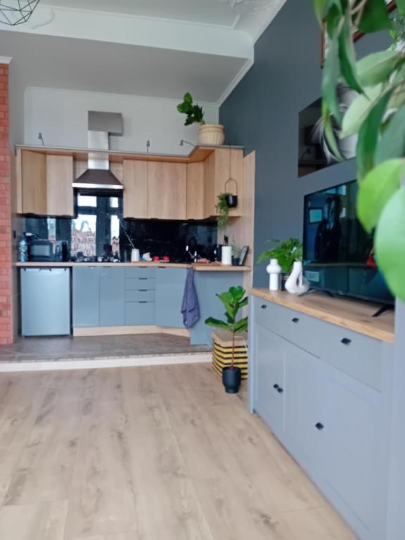 Noclegi KAWALERKA Superior Gdańsk centrum blisko pkp - B&B Gdansk
